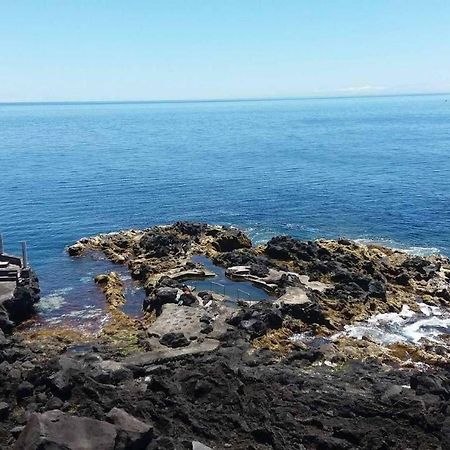 מלון Terra do Pão Casa Da Rocha מראה חיצוני תמונה