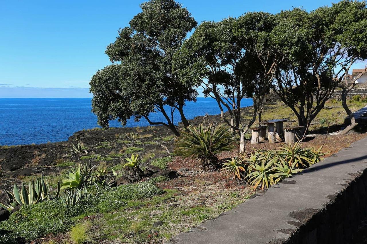 מלון Terra do Pão Casa Da Rocha מראה חיצוני תמונה